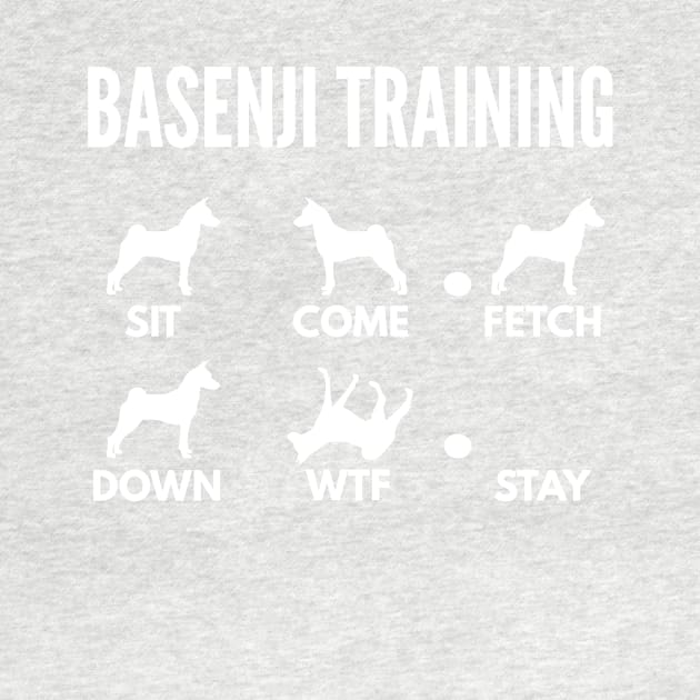 Basenji Training Basenji Dog Tricks by DoggyStyles